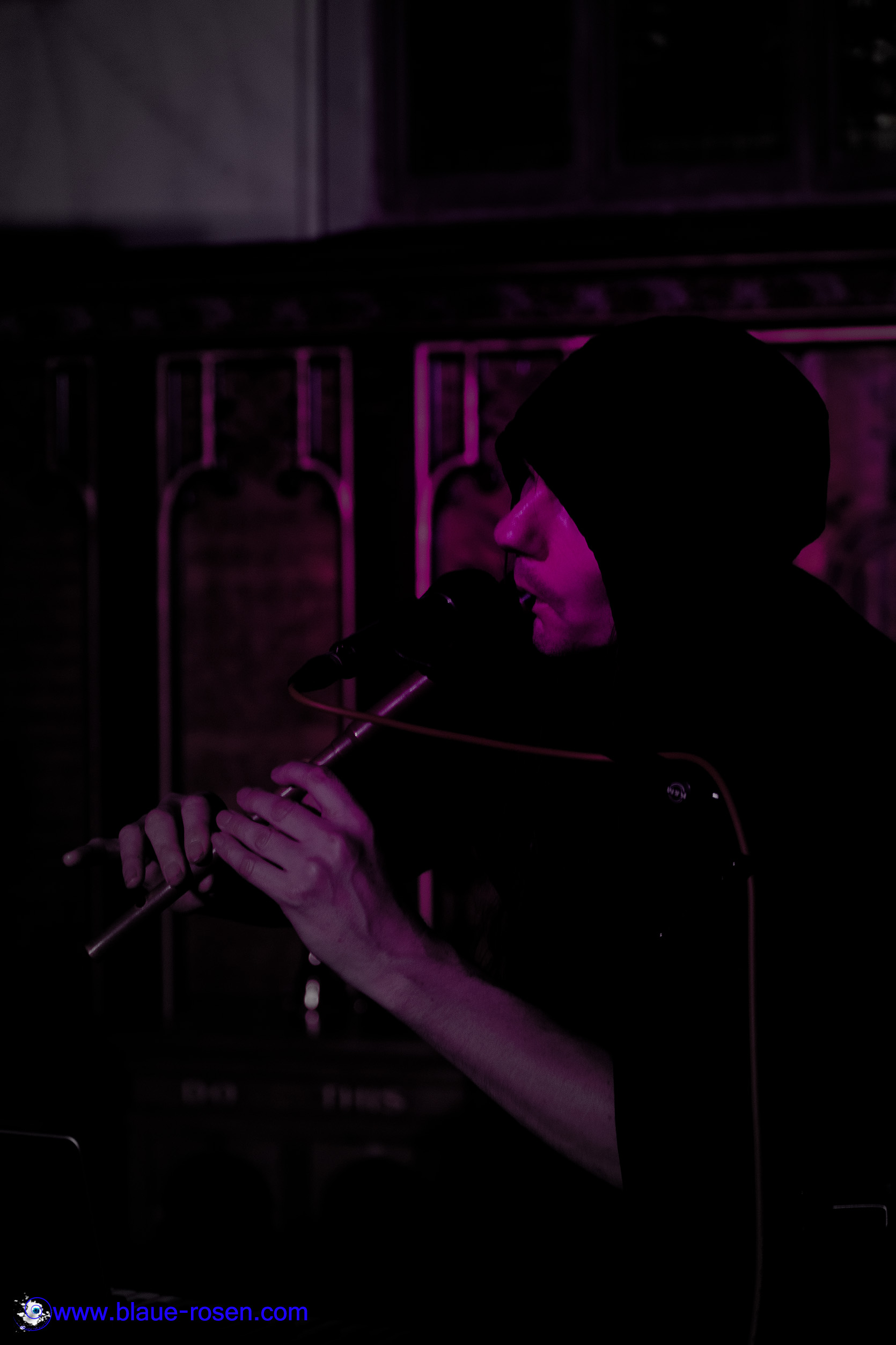 tAngerinecAt live photo