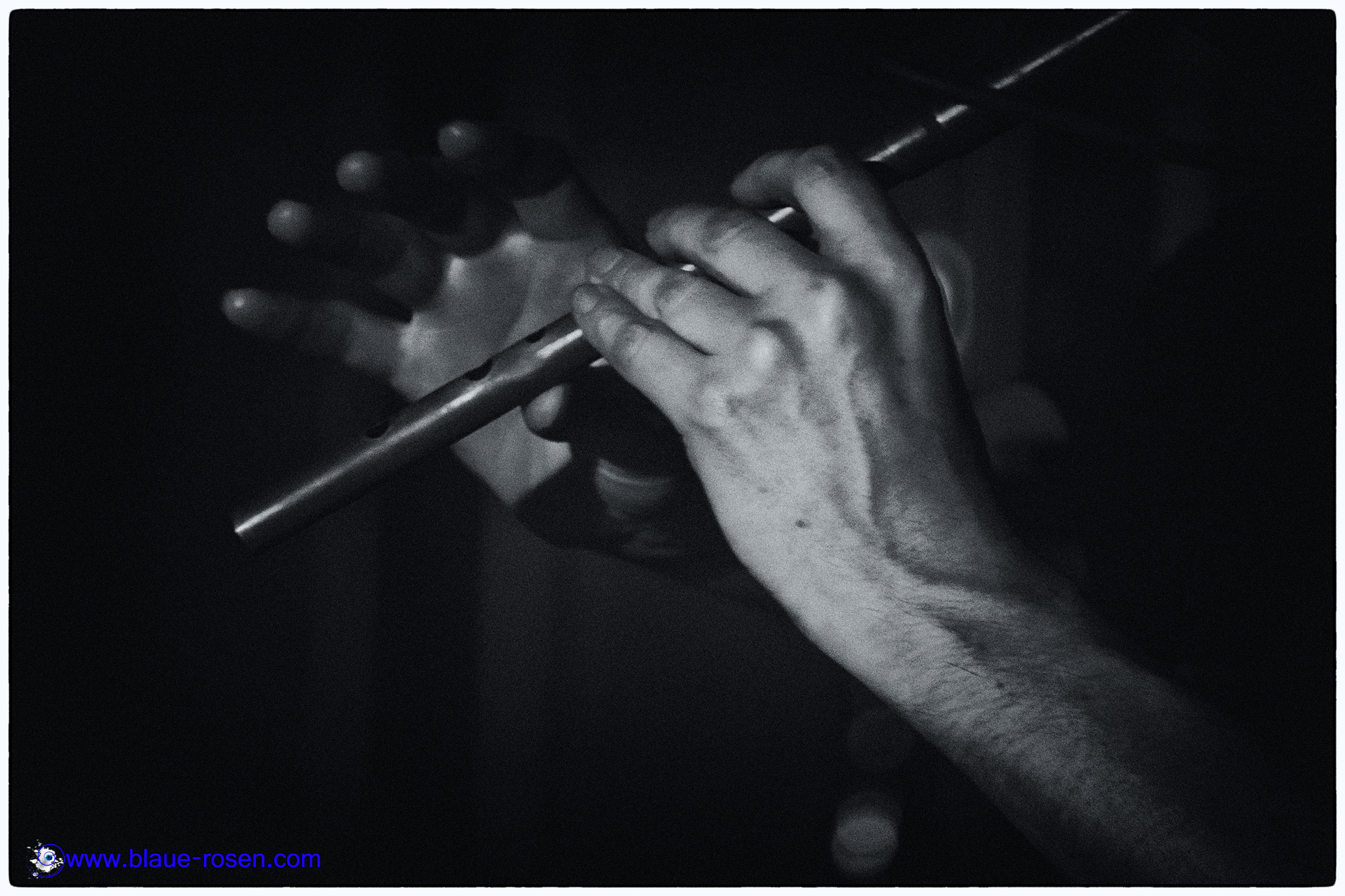 tAngerinecAt live photo