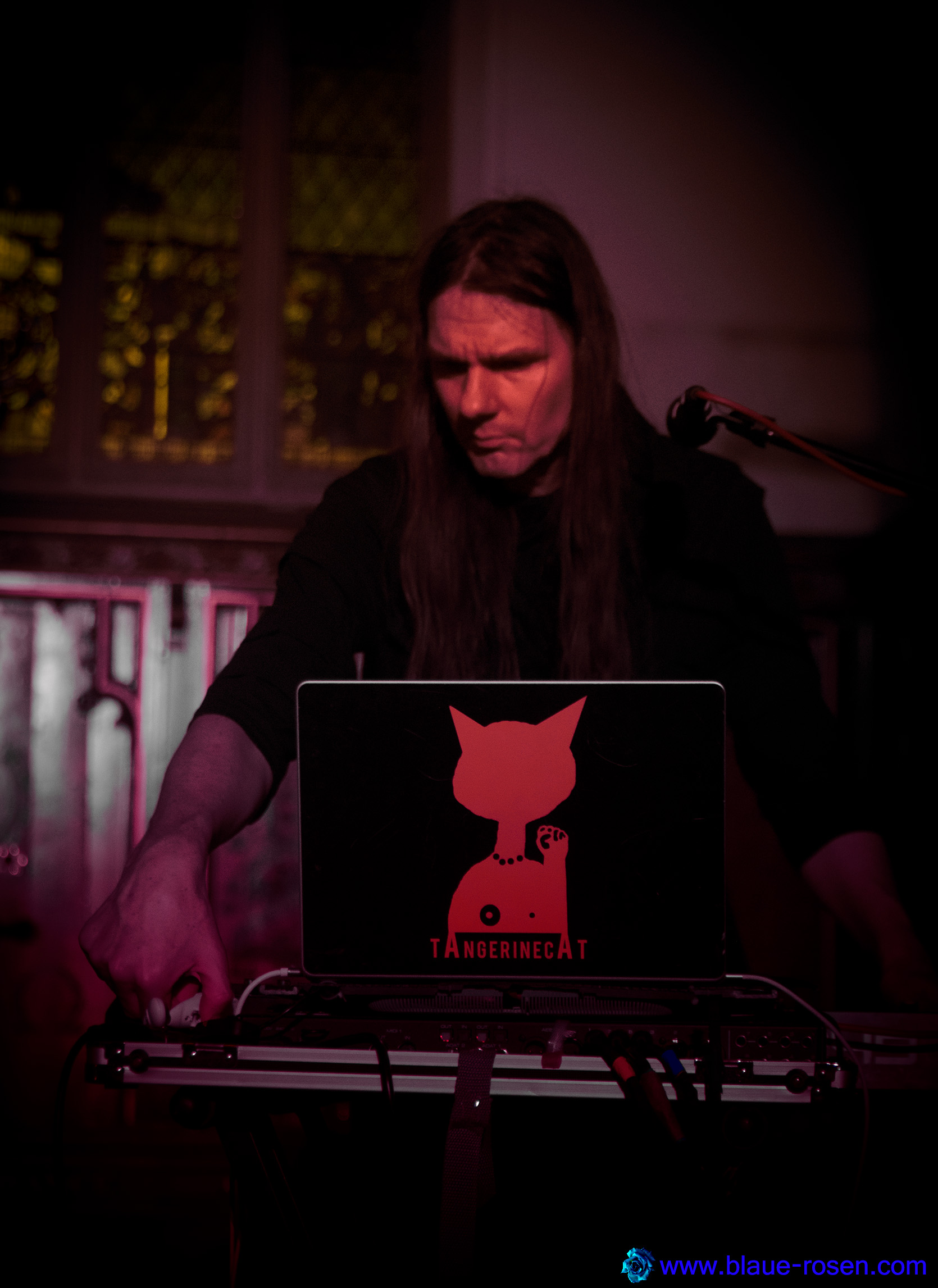 tAngerinecAt live photo